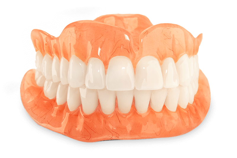 dentures model